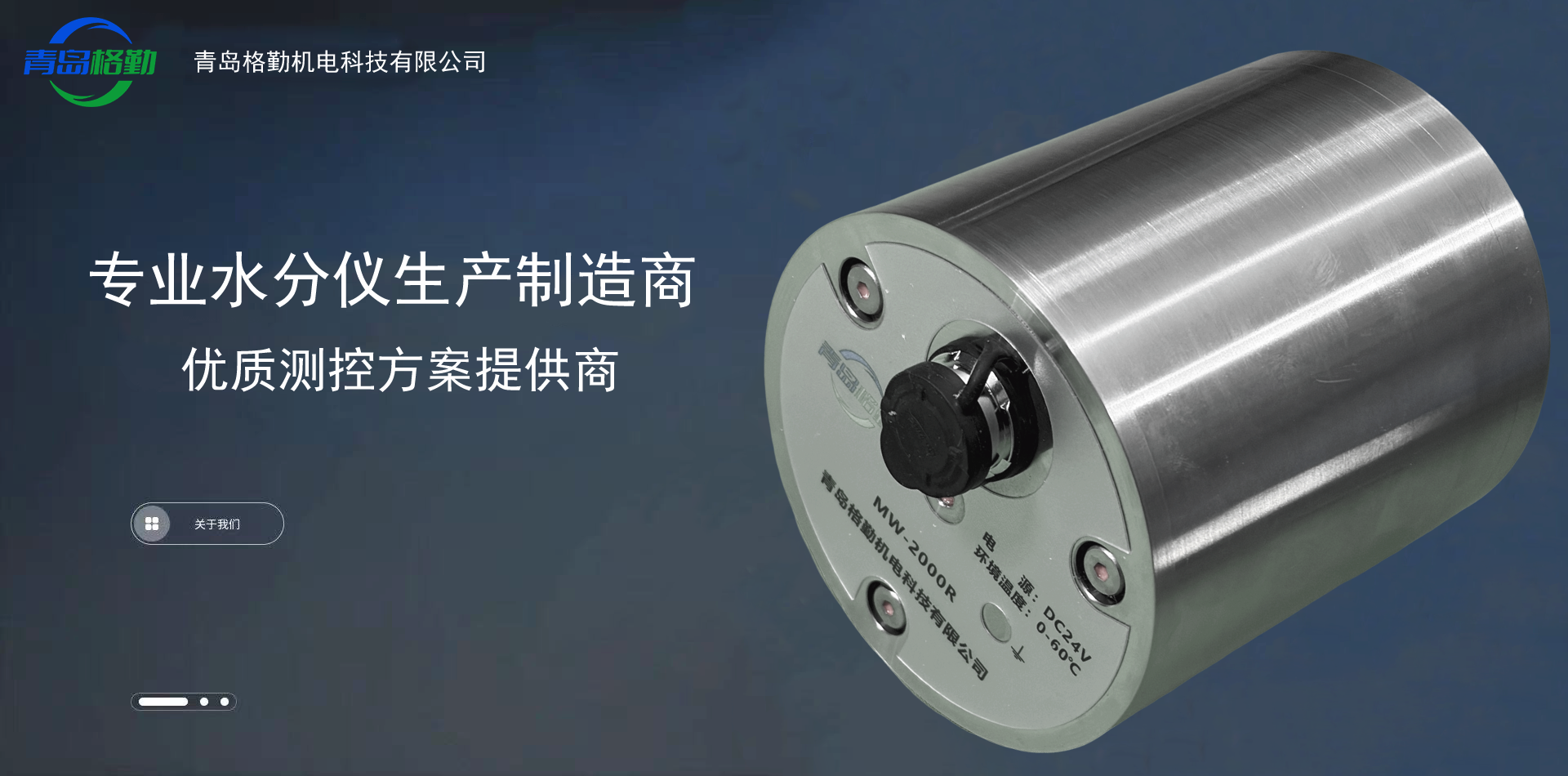 接触式在线微波水分仪MW-2000